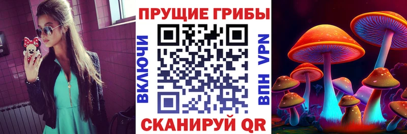 Псилоцибиновые грибы ЛСД купить наркотики цена Долгопрудный