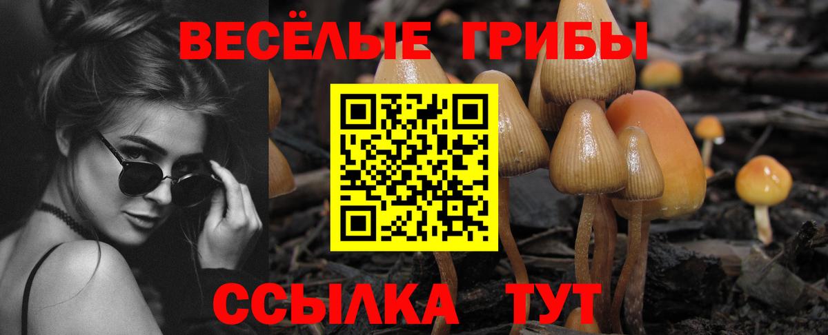 Псилоцибиновые грибы мухоморы  Вход с VPN  Псилоцибиновые грибы прущие грибы  Долгопрудный 