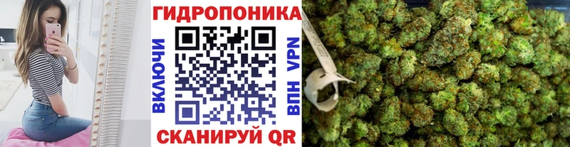 даркнет сайт Долгопрудный Шишки марихуана OG Kush
